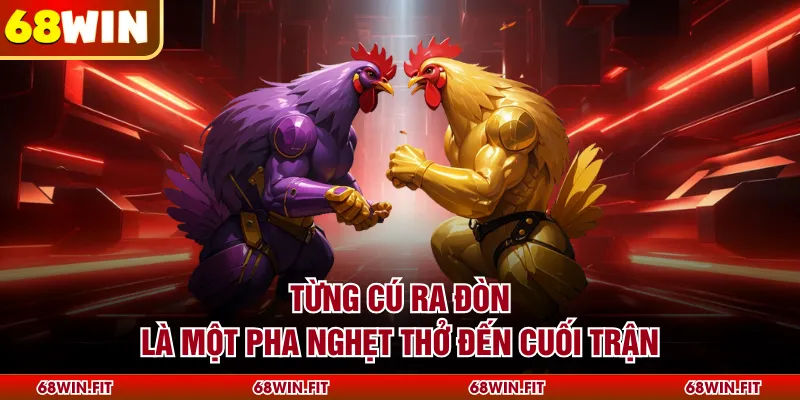 Từng cú ra đòn là một pha nghẹt thở đến cuối trận
